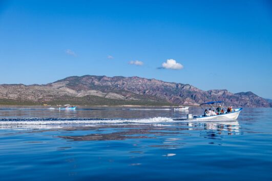 Tour around Island Coronado 1-4 Persons